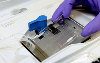 Microfluidics: standards to promote R&D