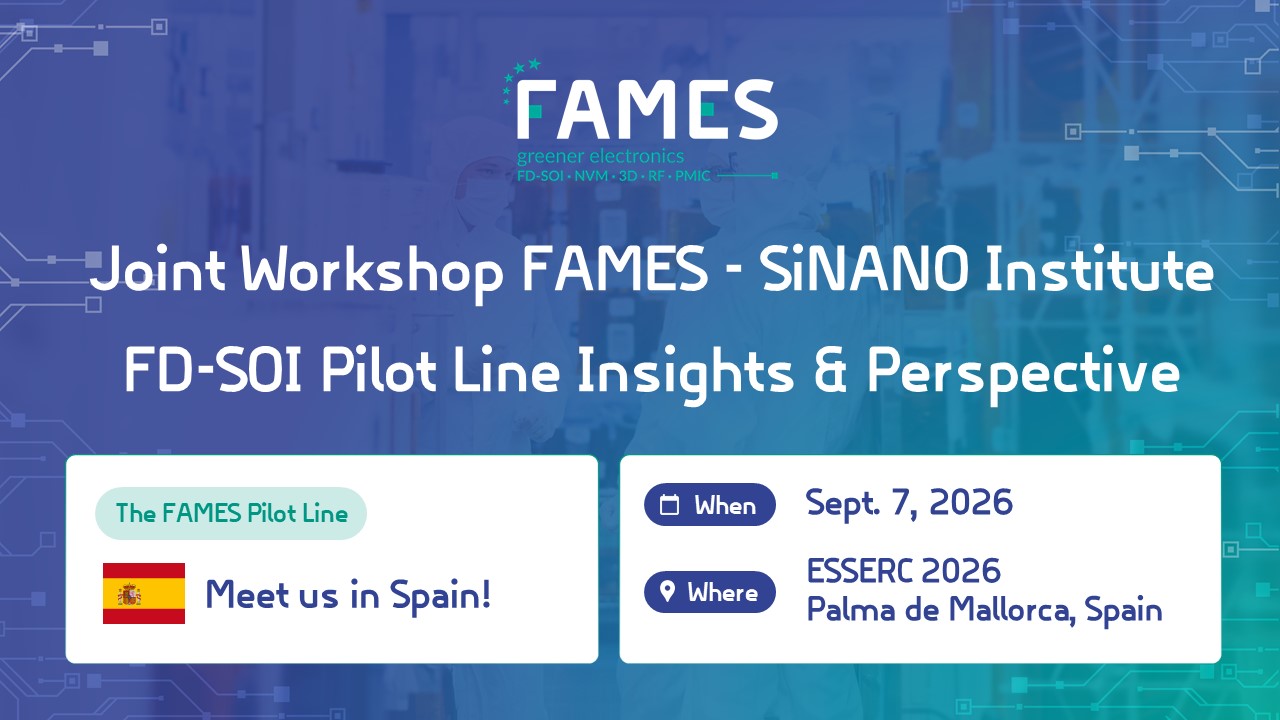 Workshop FAMES-SiNANO Institute