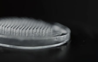 Workshop Microneedles for Biosensing 