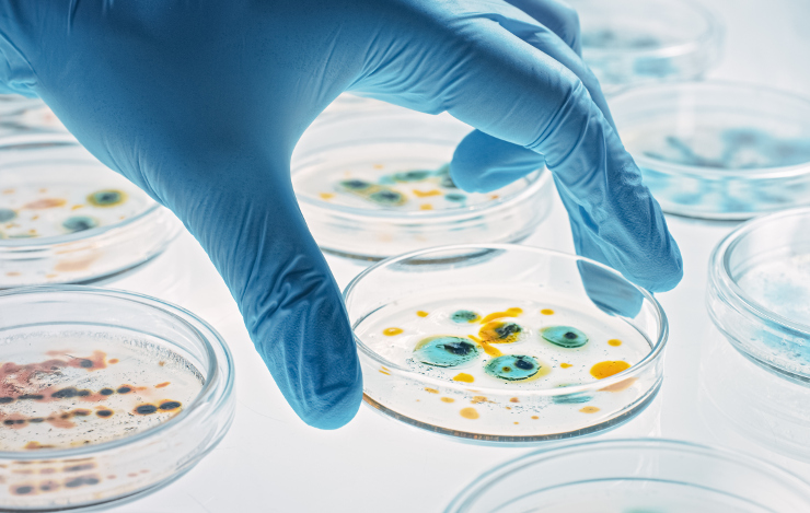 La France accueille IBISBA-ERIC pour l’accélération des biotechnologies industrielles européennes