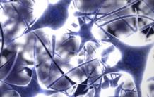 Ralentir l’évolution de la maladie de Parkinson par la neuroillumination : premier essai clinique